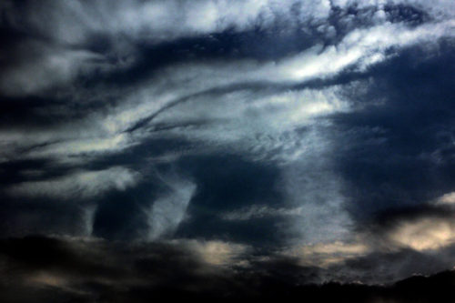 A-borz-vadaszni-indul-500x333