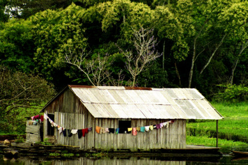 Amazonia-007-500x333