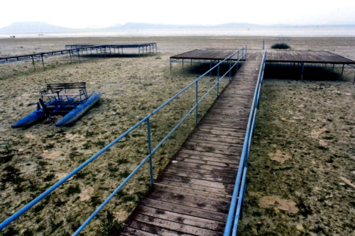 Balatoni_kiszaradas_005-500x333