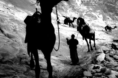 Beduinok-009-500x333