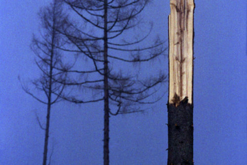 Vihar_a_Tatraban002-500x333