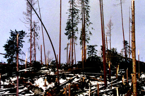 Vihar_a_Tatraban004-500x333