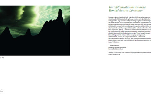 morpho40_A_fenyek_makacs_dolgok-008-500x333