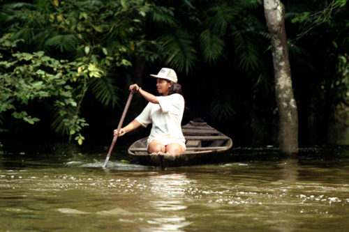 amazonia-015-500x333