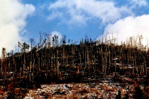 storm_in_the_tatras-en-010-500x333