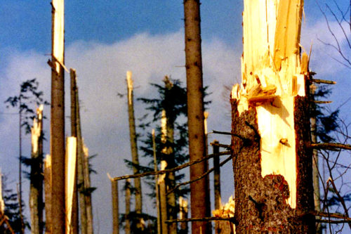 storm_in_the_tatras-en-012-500x333