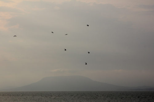 the_private_life_of_badacsony-en-001-500x333