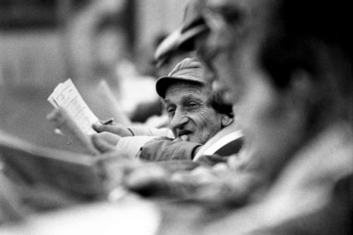 trotters-en-004-500x333