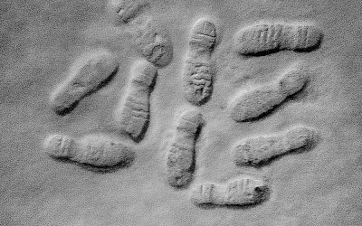 Lábnyomok/Footprints 2016