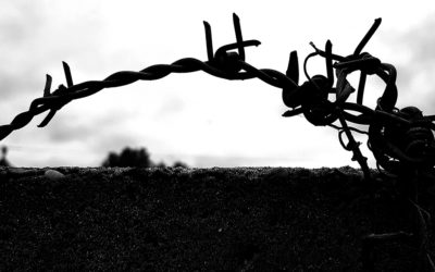 Szögesdrót/Barbed wire 2020