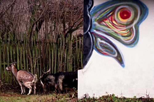 rajzos-falu-0012-500x333