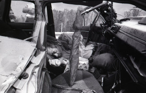 Hullarablás morphoblog