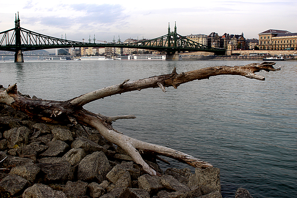 Extreme low water levels on Danube morphoto