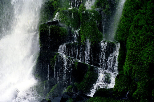 Amazonas-018-1-500x333