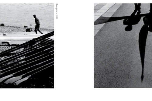 Morpho-Harmadik-rész-08-500x333